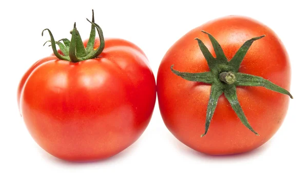 Zwei frische Tomaten isoliert auf weißem Hintergrund. — Stockfoto