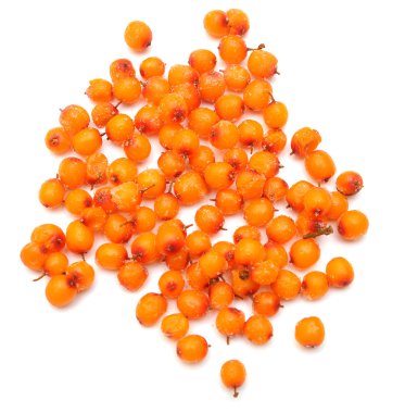 Frozen sea buckthorn isolated on white background clipart