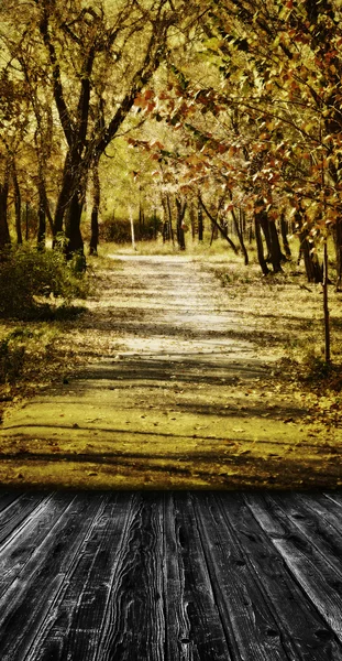 ビンテージ風光明媚な部屋スタイルの木製の床が付いている公園の色鮮やかな秋の経路を表示します — ストック写真