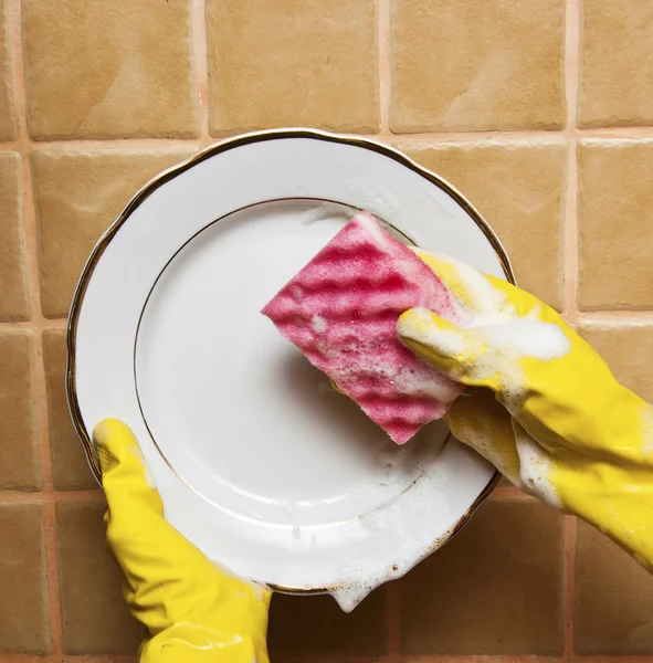 Washing plate — Stock Photo, Image