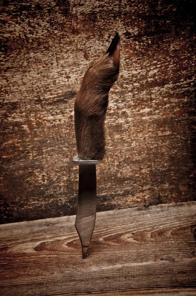 Охотничий Нож Деревянном Фоне — стоковое фото