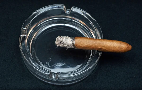 Röka cigarr i en askkopp — Stockfoto
