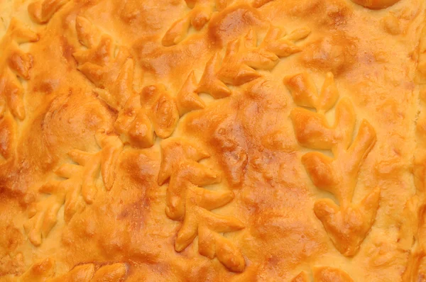 Крупним планом М'ясний пиріг — стокове фото