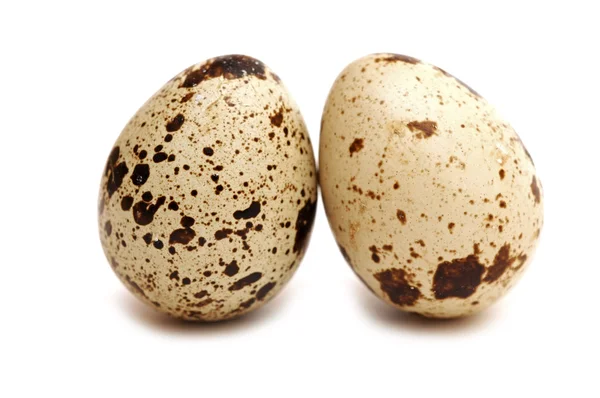 stock image Two quail eggs