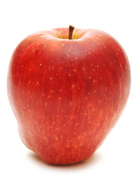 신선한 사과 — 스톡 사진