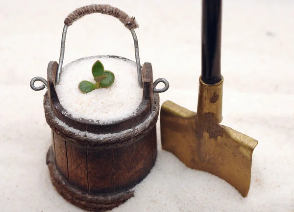 stock image Green sprout in the sand