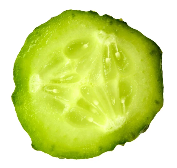 Tranche unique de concombre vert — Photo