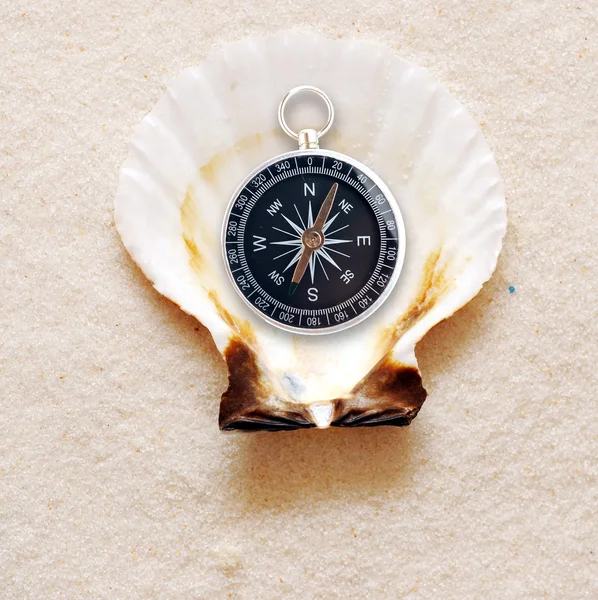 Kompas ve skořápce — Stock fotografie