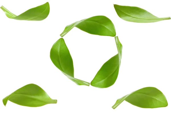 Οικολογικό πράσινο ενέργειας, ανακύκλωση — Φωτογραφία Αρχείου