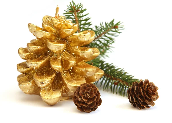 Zlatá šiška a větve vánočního stromu — Stock fotografie