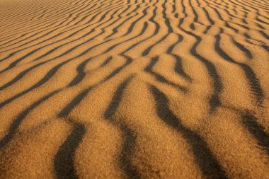 kavramsal arka plan olarak çöl dunes.