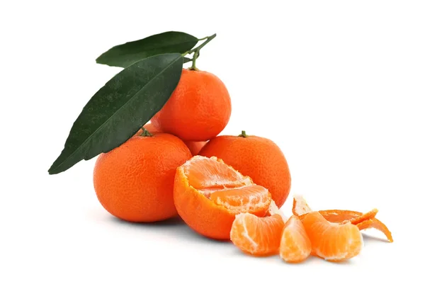 橘子树 — 图库照片