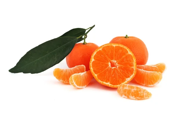 橘子树 — 图库照片