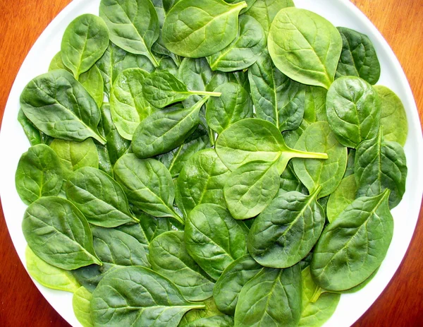 Stock image Fresh spinach