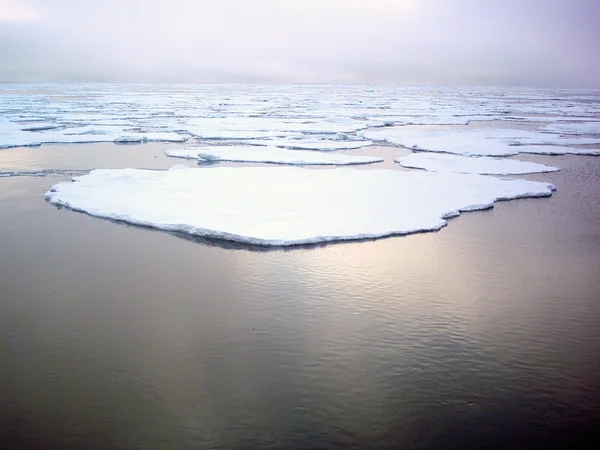 Дрейфующий лёд — стоковое фото
