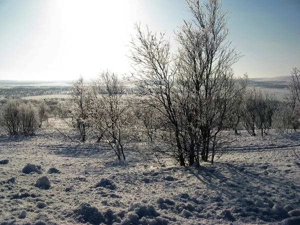 Долина снега — стоковое фото