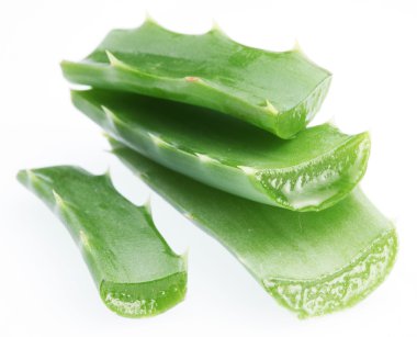 aloe vera parçaları