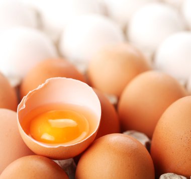 Broken brown egg is among the whites of eggs. clipart