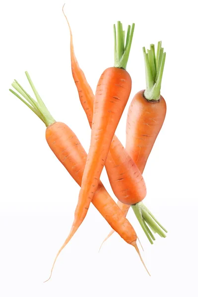 Świeże marchewki dojrzałe — Zdjęcie stockowe