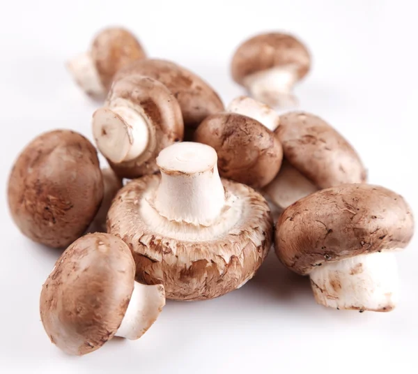 在白色背景上的蘑菇皇家双孢菇 — 图库照片