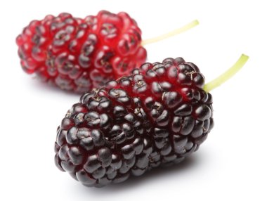 Ripe mulberries. clipart