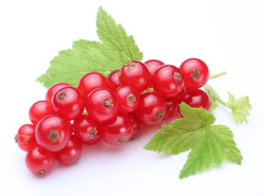 Bunch of red currants on a white background clipart