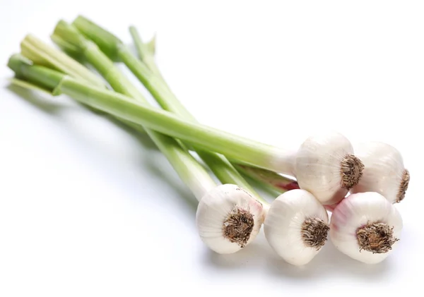 Young garlic on a white background — Stock Photo, Image