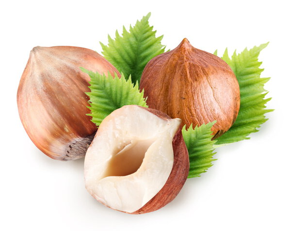 Группа фильтров с листьями
.