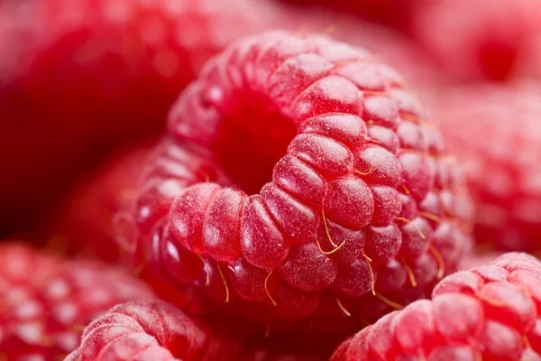 잘 익은 나무 딸기. 클로즈업 샷. — 스톡 사진