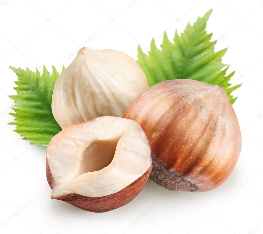 Group of filberts with leaves — Stock Photo © Valentyn_Volkov 4060397