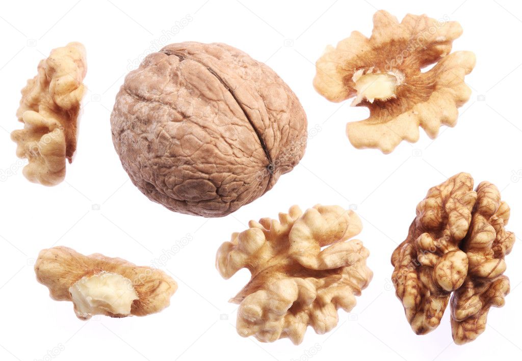 Walnut kernels isolated on a white background.