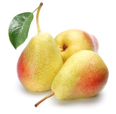 Three ripe pears. clipart