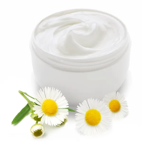 Opened plastic container with cream and camomile. — Stock Photo, Image