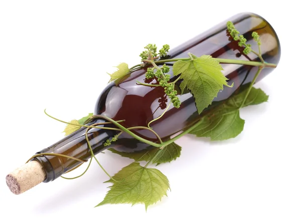 Beyaz bir arka plan asma şarap şişe — Stok fotoğraf