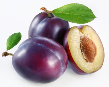 Plums on a white background clipart