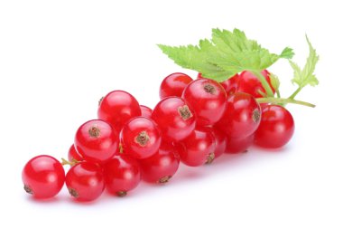 Bunch of red currants on a white background clipart