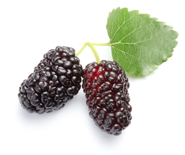Ripe mulberries. — Stock Photo, Image