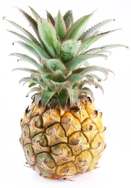 Ripe pineapple. — Stock Photo, Image