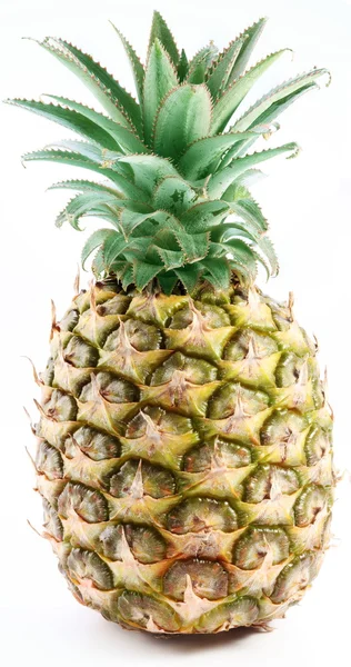 大型成熟的菠萝. — 图库照片