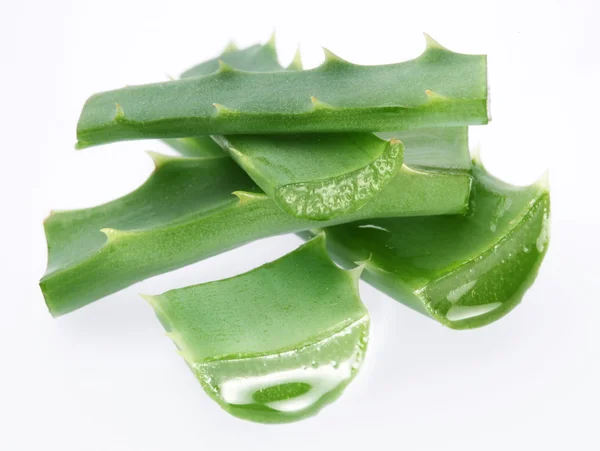 Aloe vera parçaları — Stok fotoğraf