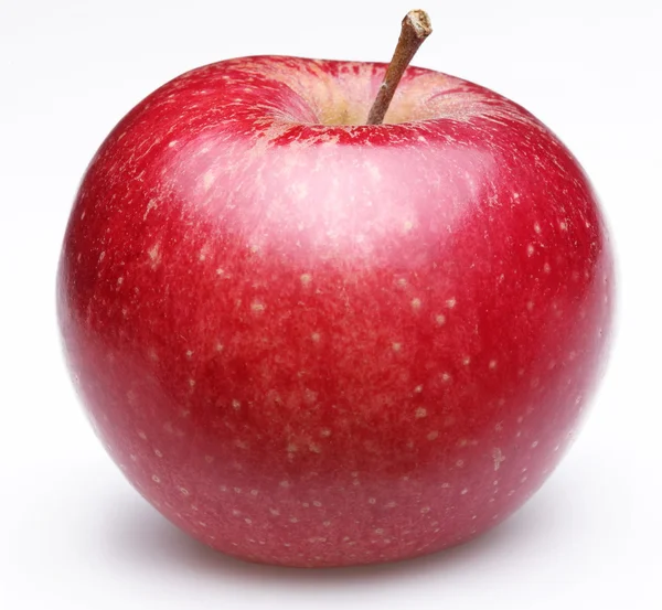 Спелое красное яблоко . — стоковое фото