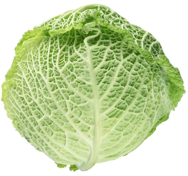Photo of fresh cabbage on a white background — Stock Photo, Image