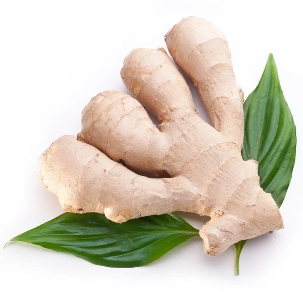 Fresh ginger with leaves isolated on white background. — Stock Photo, Image