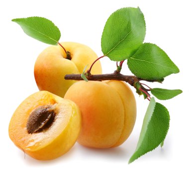 Apricots with leaves on a white background. clipart