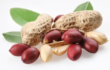 Peanuts with leaves on white background clipart