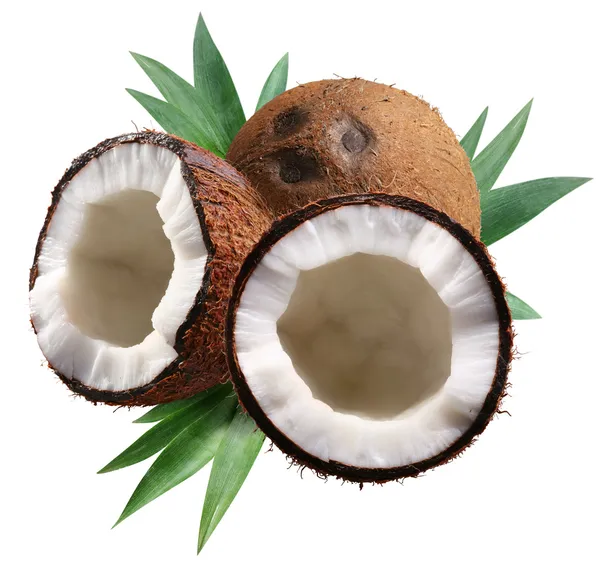Posiekane Orzechy Kokosowe Liści Białym Tle Plik Zawiera Ścieżki Przycinające — Zdjęcie stockowe