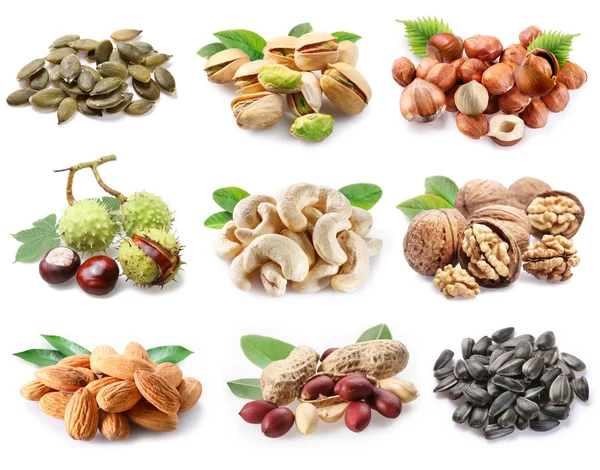 Colección de diferentes variedades de frutos secos — Foto de Stock