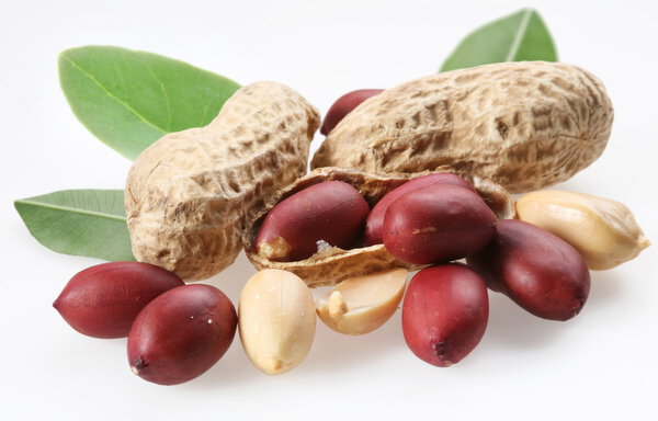Peanuts with leaves on white background