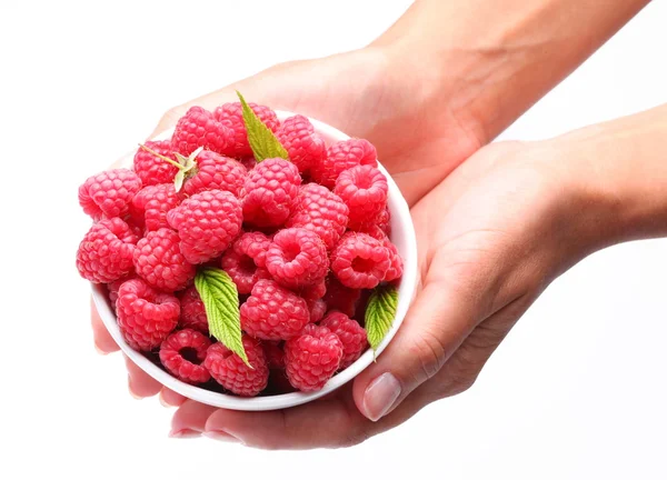 Crockery Raspberries Woman Hands Isolated White Background — Stock Photo, Image