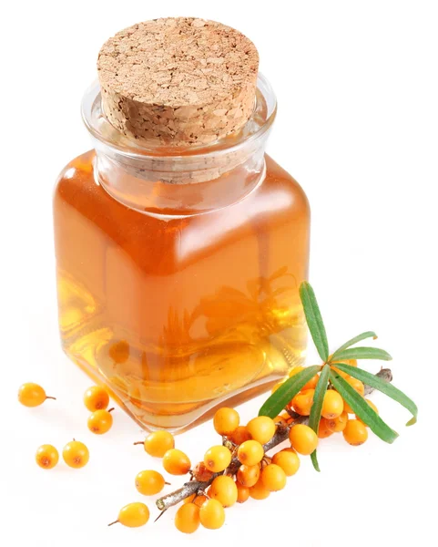 Branch Sea Buckthorn Oil White Background — Stock Photo, Image